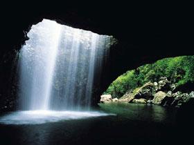 Voyage sur-mesure, Springbrook NP